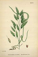  no thumbnail available