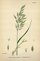  no thumbnail available