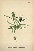  no thumbnail available