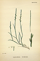  no thumbnail available