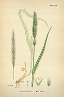  no thumbnail available