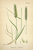  no thumbnail available