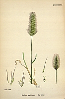  no thumbnail available