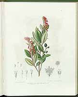  no thumbnail available