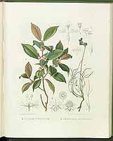  no thumbnail available