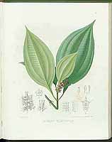  no thumbnail available