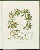  no thumbnail available