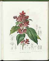  no thumbnail available