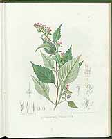  no thumbnail available