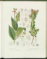  no thumbnail available