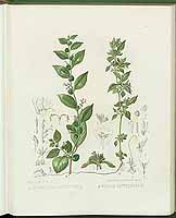  no thumbnail available