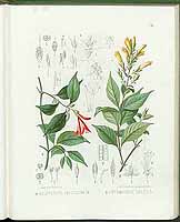  no thumbnail available