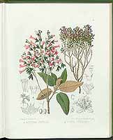  no thumbnail available