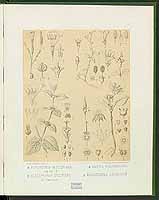  no thumbnail available