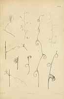  no thumbnail available