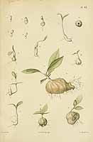  no thumbnail available