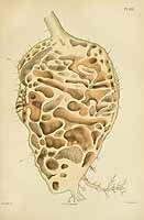  no thumbnail available