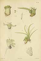  no thumbnail available