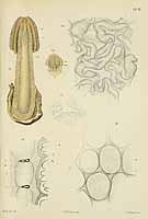  no thumbnail available