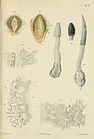  no thumbnail available