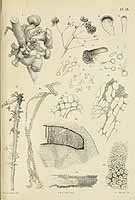  no thumbnail available