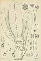  no thumbnail available