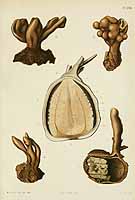  no thumbnail available