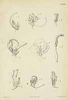  no thumbnail available