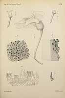  no thumbnail available