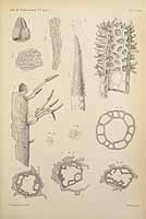  no thumbnail available