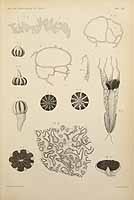  no thumbnail available