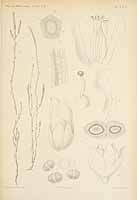  no thumbnail available