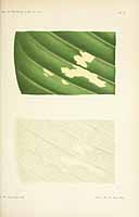  no thumbnail available