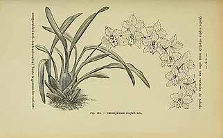  no thumbnail available