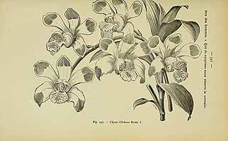  no thumbnail available