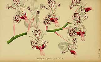  no thumbnail available