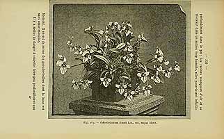  no thumbnail available