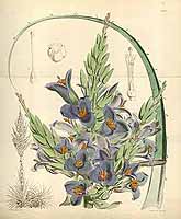  no thumbnail available