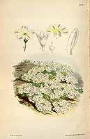  no thumbnail available