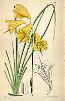  no thumbnail available