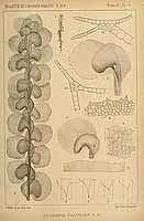  no thumbnail available