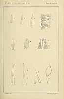  no thumbnail available