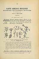  no thumbnail available