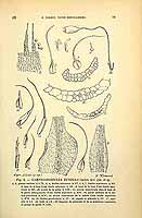  no thumbnail available