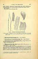  no thumbnail available