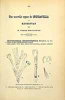  no thumbnail available