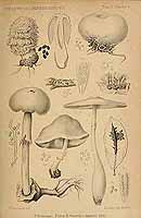  no thumbnail available