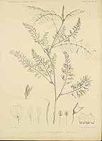  no thumbnail available