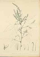  no thumbnail available