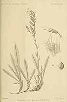  no thumbnail available